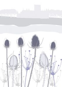 Teasels